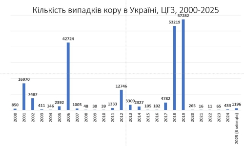А що там кір? 