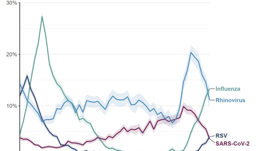 Грип (грудень 2025)